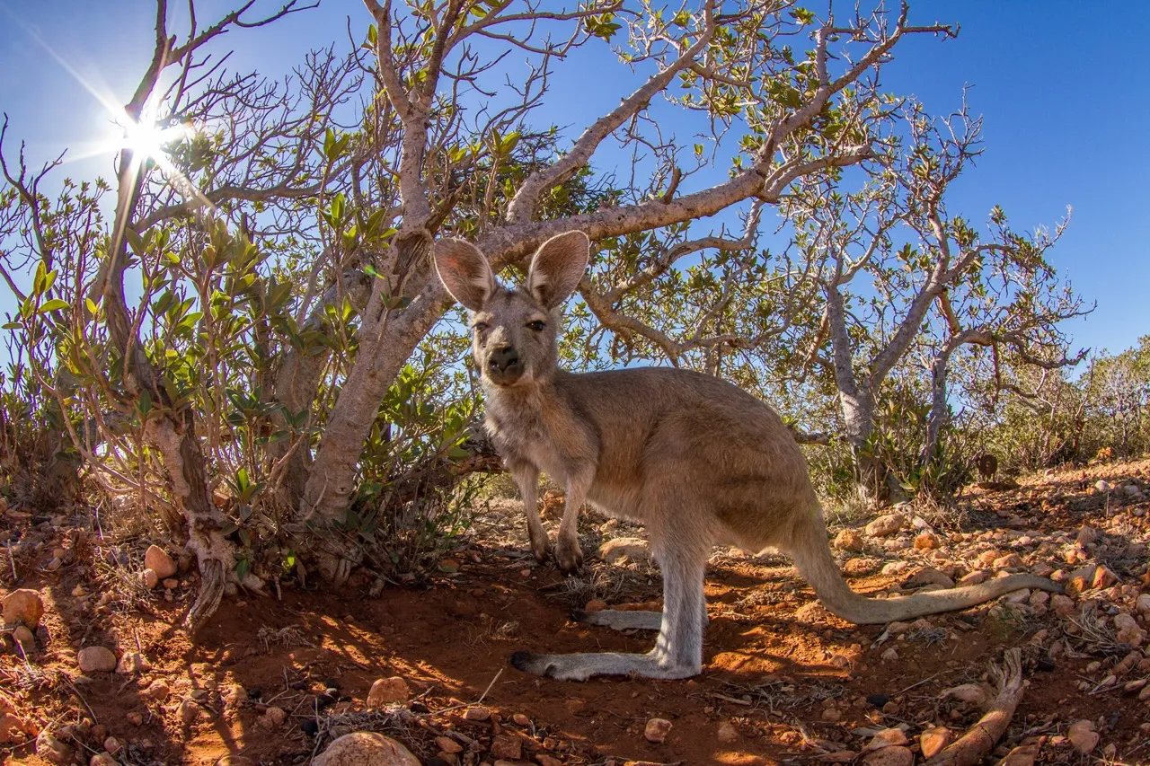 cape range national park